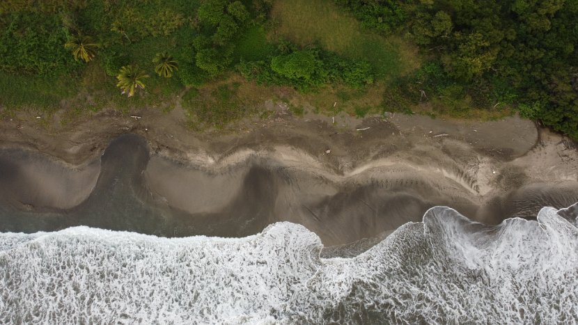 org_6cad09c92c6164ae_1575067618000