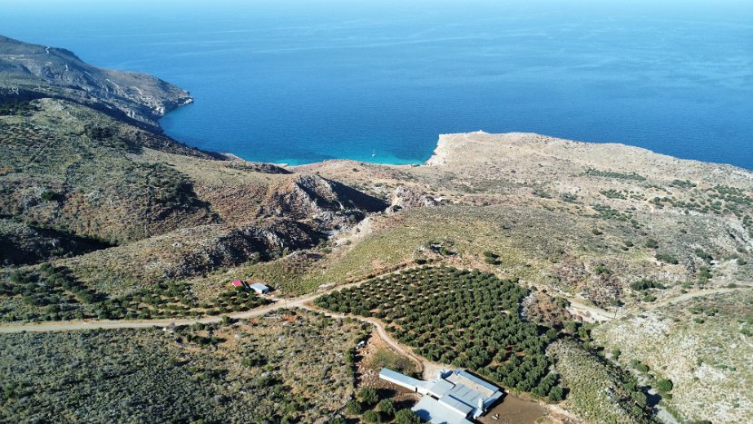 dji_fly_20240602_174718_181_1717427669044_photo_optimized