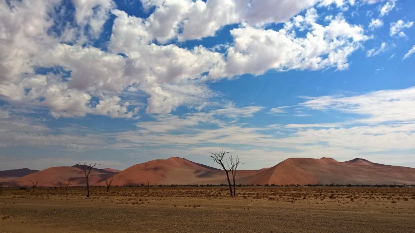 WP_20160418_11_15_46_Pro (2)