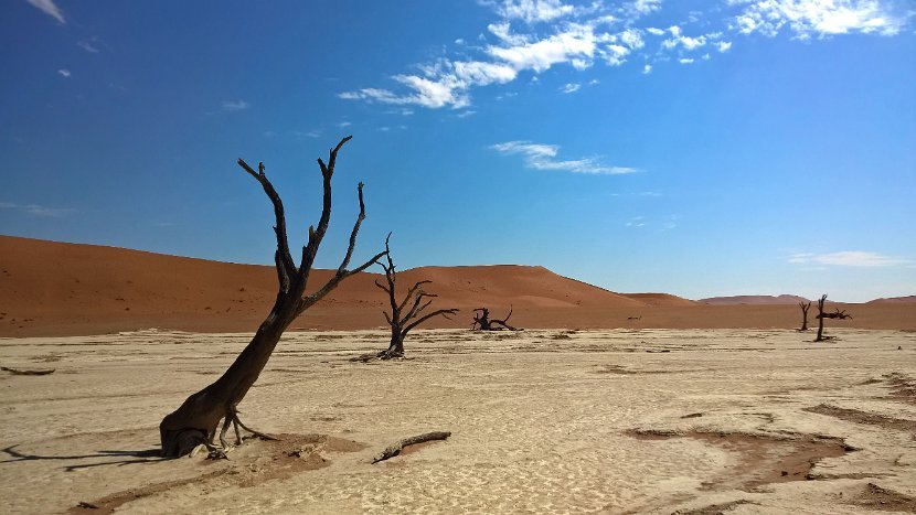 WP_20160418_12_50_56_Pro (2)