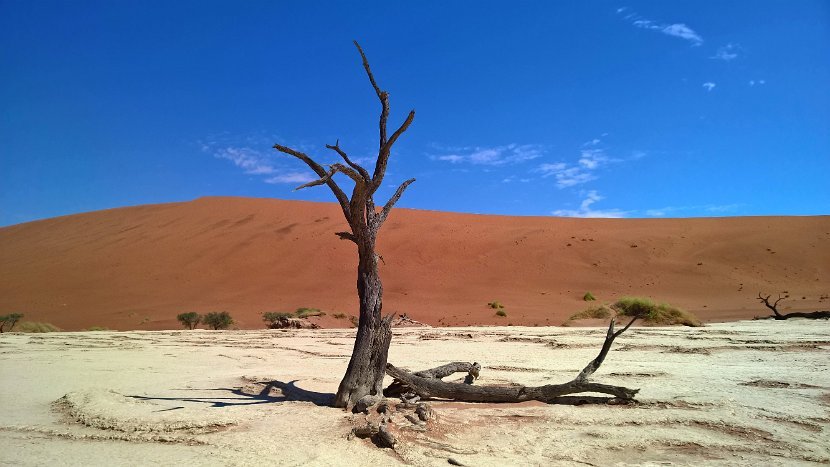 WP_20160418_12_51_56_Pro (2)