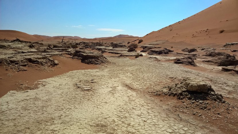 WP_20160418_13_04_45_Pro (2)