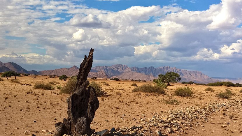 WP_20160418_14_42_27_Pro (2)